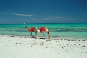 Djerba